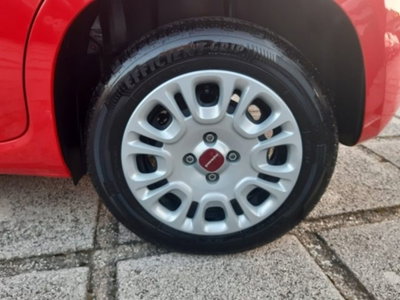 Fiat Panda 1.0 firefly hybrid s&s 70cv 5p.ti (15)