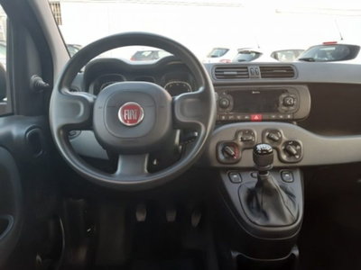 Fiat Panda 1.0 firefly hybrid s&s 70cv 5p.ti (6)