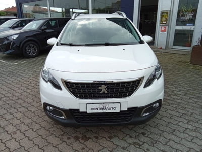 Peugeot 2008 BlueHDi 100 S&S Active (8)