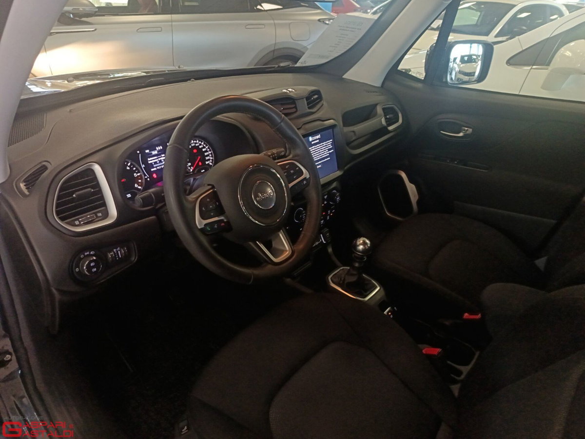 Jeep Renegade 1.6 Mjt 130 CV Business (10)