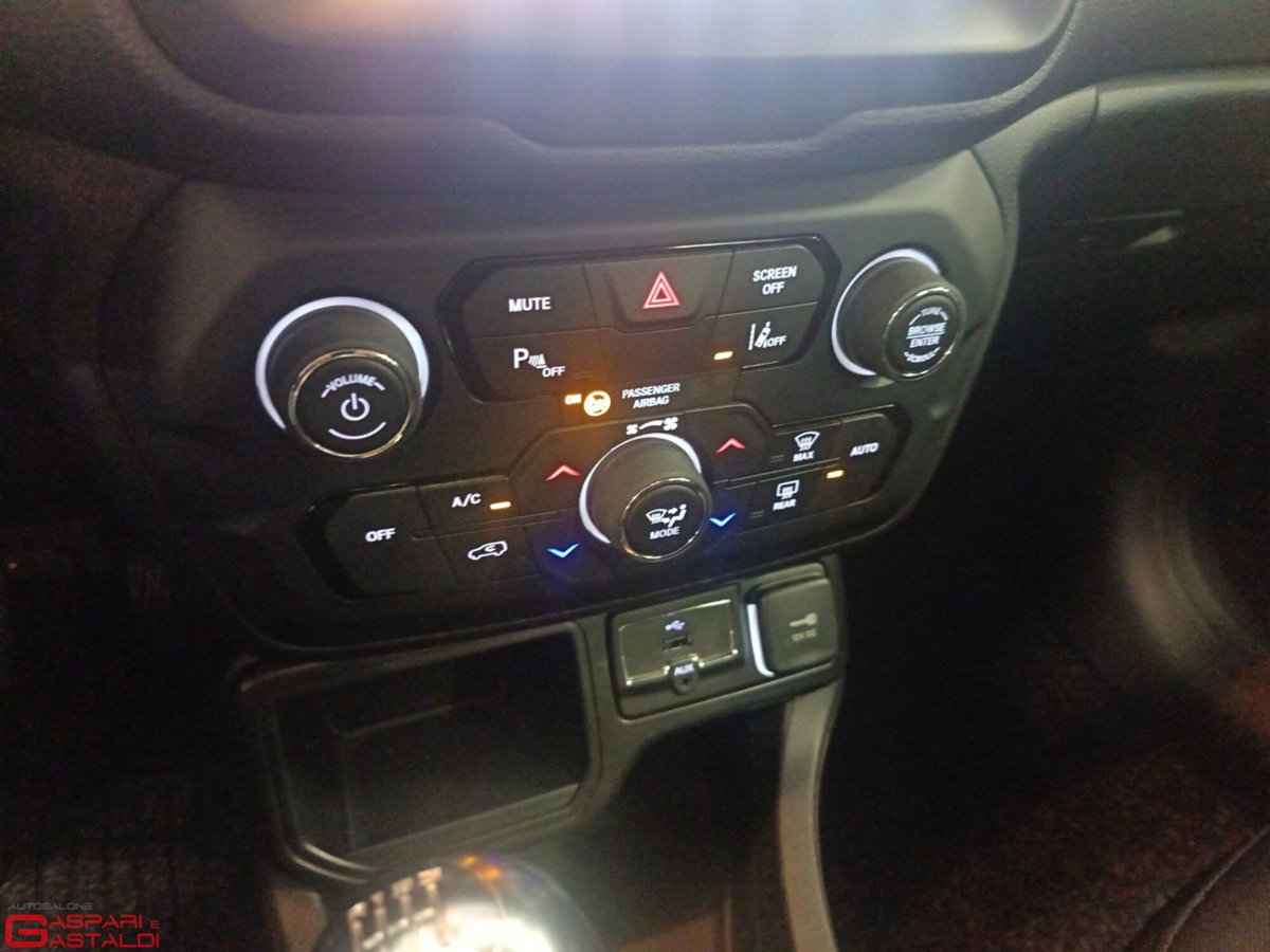 Jeep Renegade 1.6 Mjt 130 CV Business (14)