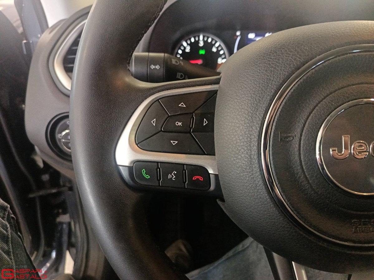 Jeep Renegade 1.6 Mjt 130 CV Business (16)