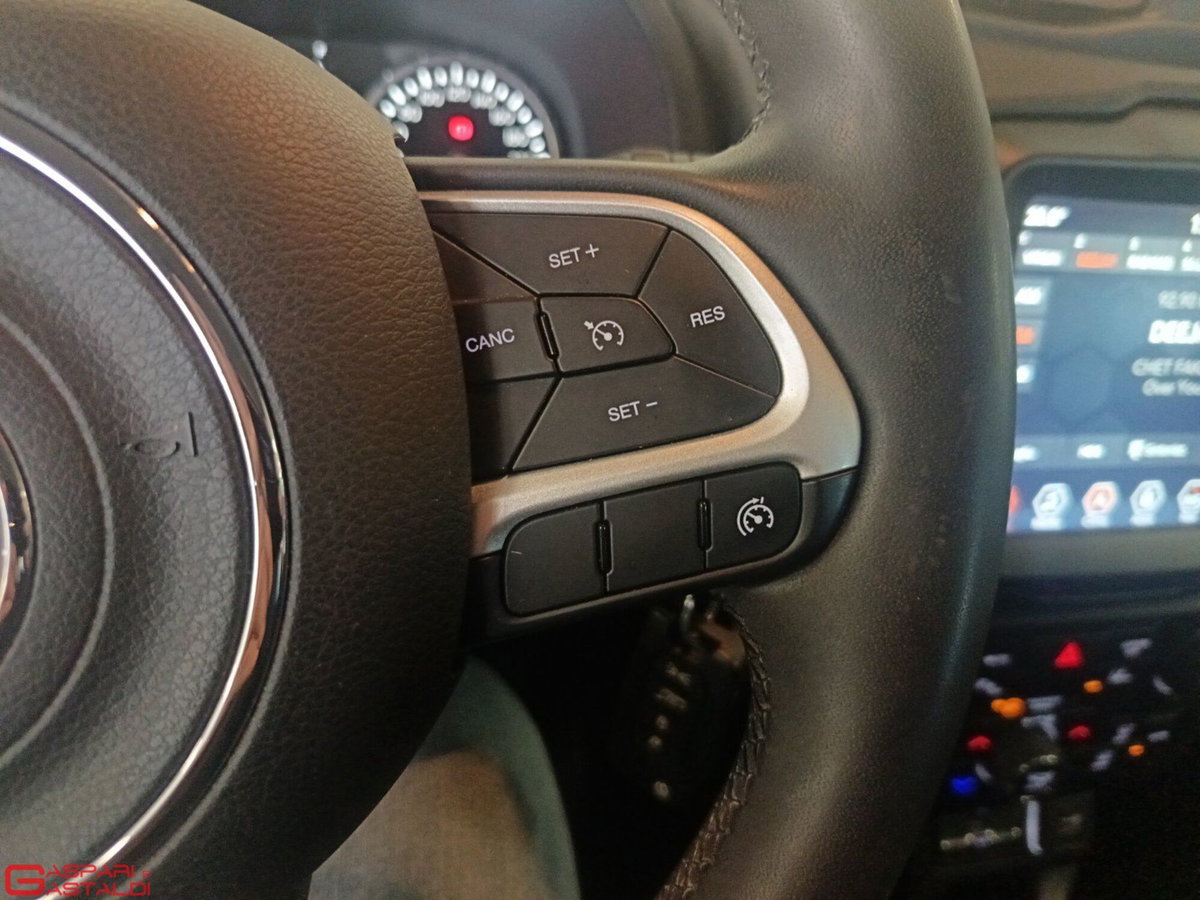 Jeep Renegade 1.6 Mjt 130 CV Business (17)