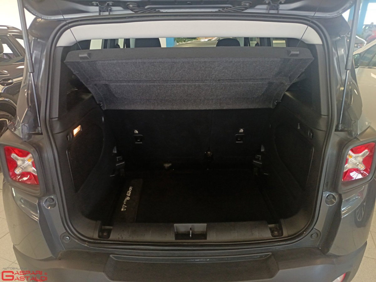 Jeep Renegade 1.6 Mjt 130 CV Business (5)