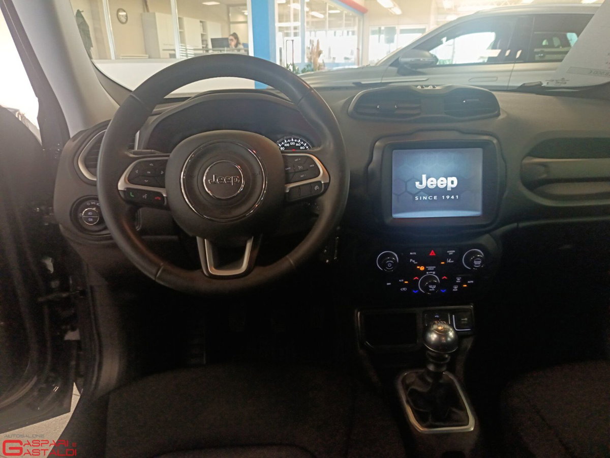 Jeep Renegade 1.6 Mjt 130 CV Business (8)