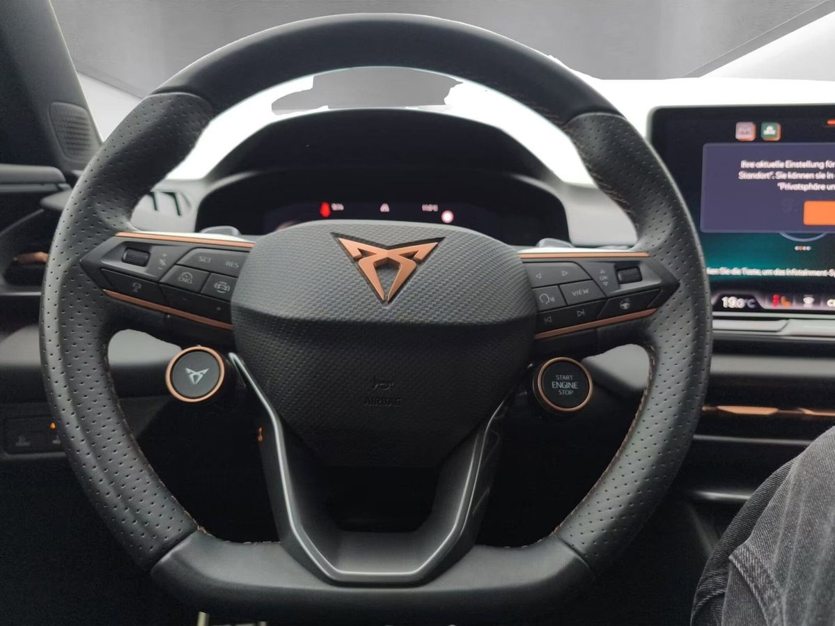 Cupra Terramar 1.5 hybrid 150cv dsg (10)