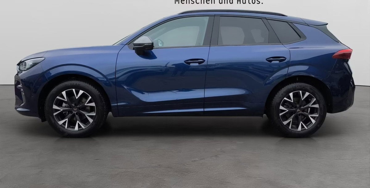 Cupra Terramar 1.5 hybrid 150cv dsg (4)