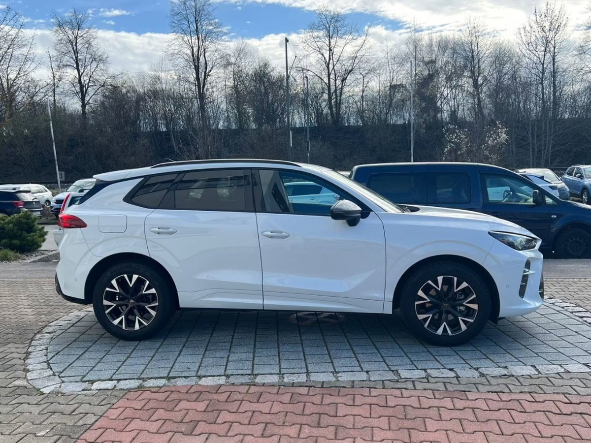 Cupra Terramar 1.5 hybrid 150cv dsg (2)