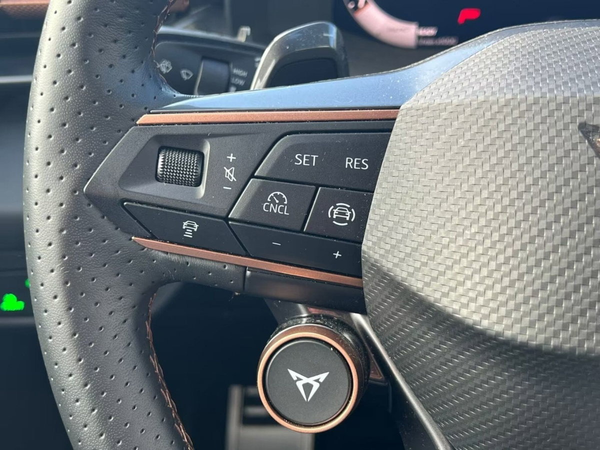 Cupra Terramar 1.5 hybrid 150cv dsg (6)