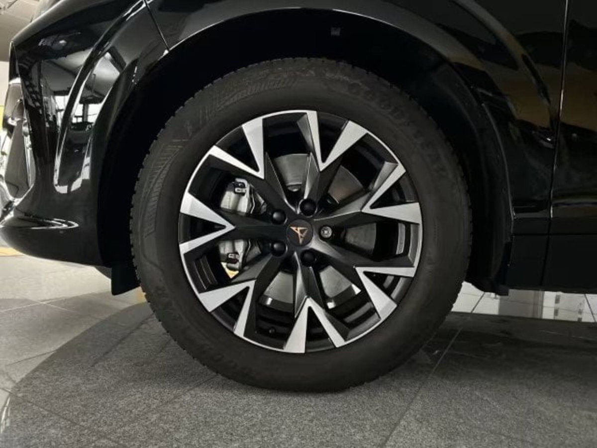 Cupra Terramar 1.5 hybrid 150cv dsg (13)