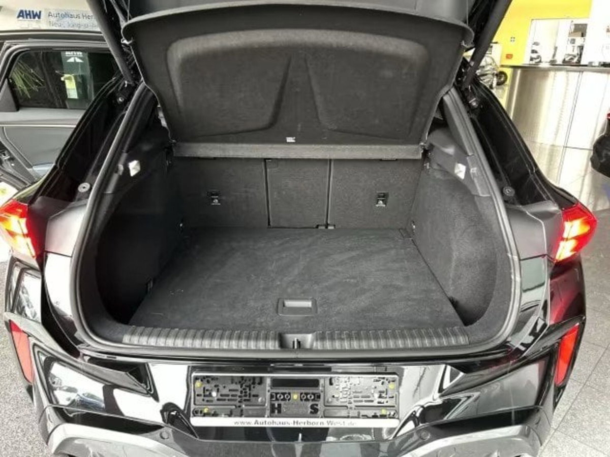 Cupra Terramar 1.5 hybrid 150cv dsg (8)
