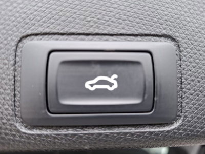 Cupra Terramar 1.5 hybrid 150cv dsg (16)