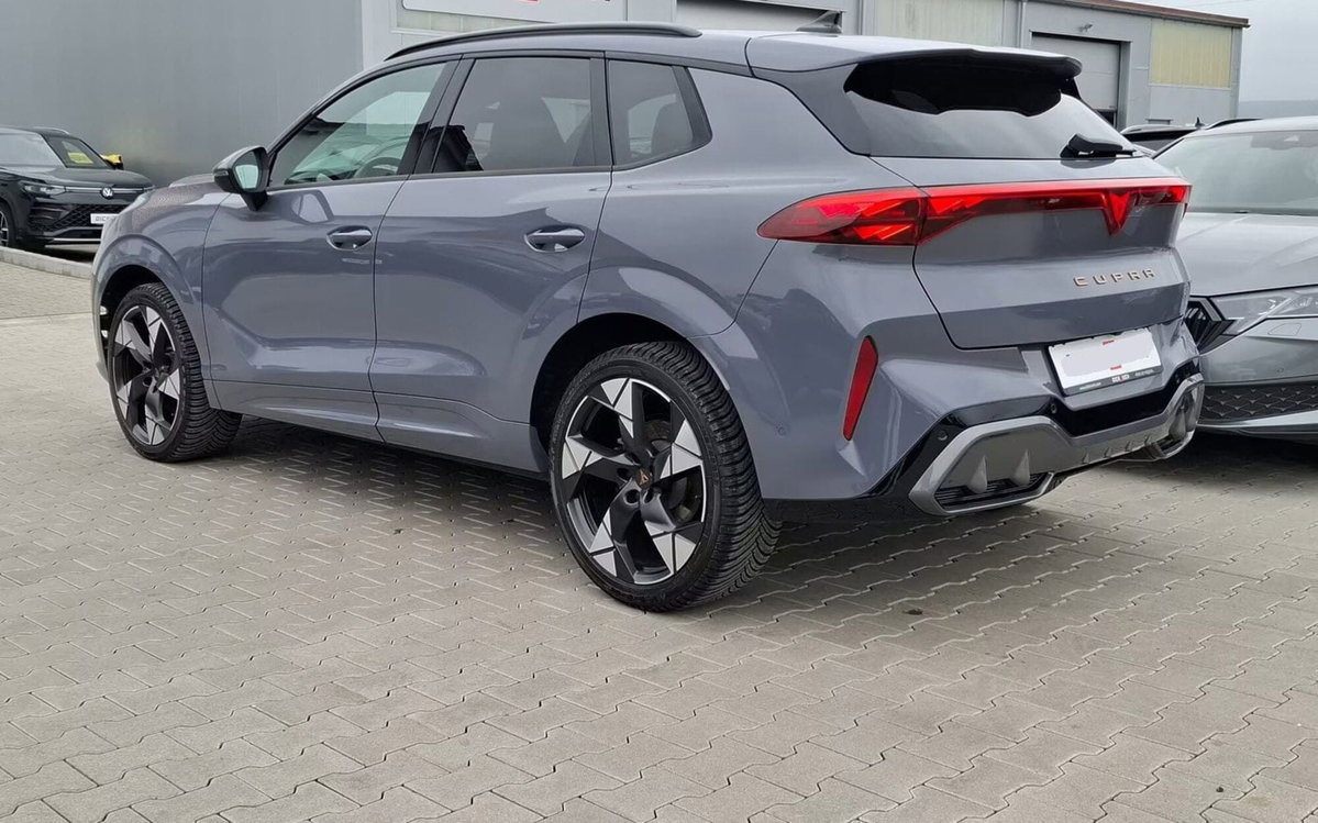 Cupra Terramar 1.5 hybrid 150cv dsg (5)