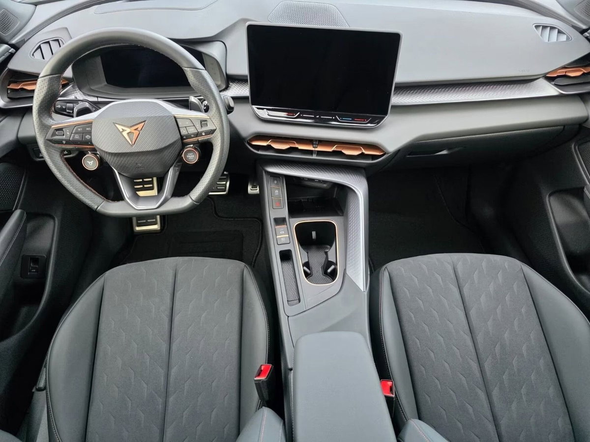 Cupra Terramar 1.5 hybrid 150cv dsg (13)