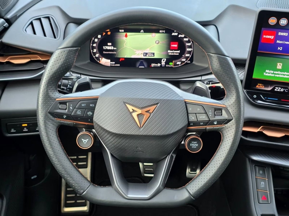 Cupra Terramar 1.5 hybrid 150cv dsg (15)