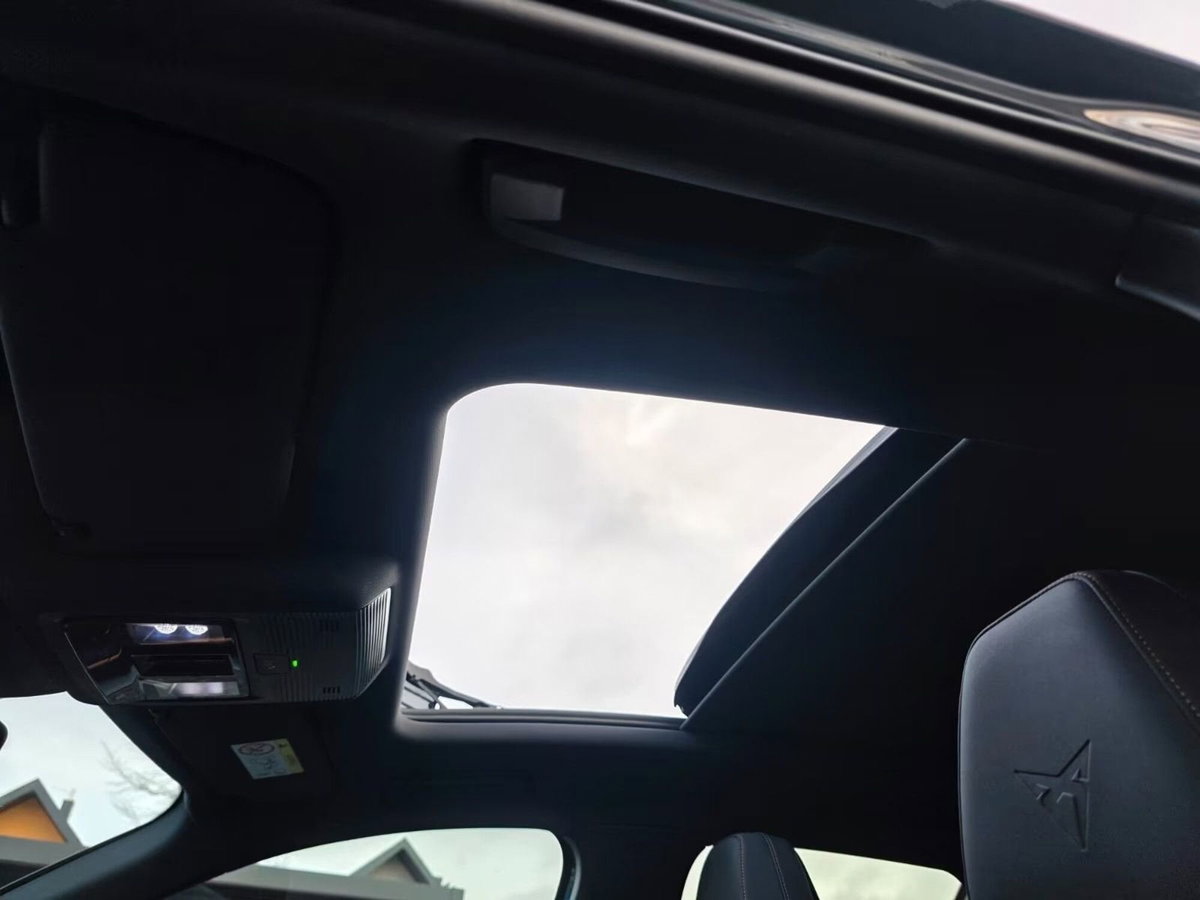 Cupra Terramar 1.5 hybrid 150cv dsg (16)
