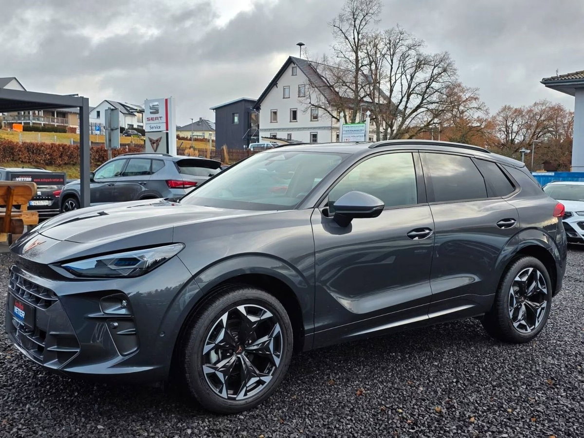 Cupra Terramar 1.5 hybrid 150cv dsg (2)