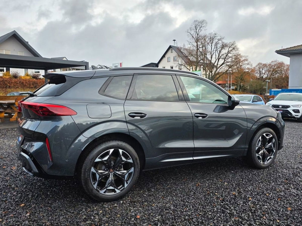 Cupra Terramar 1.5 hybrid 150cv dsg (4)