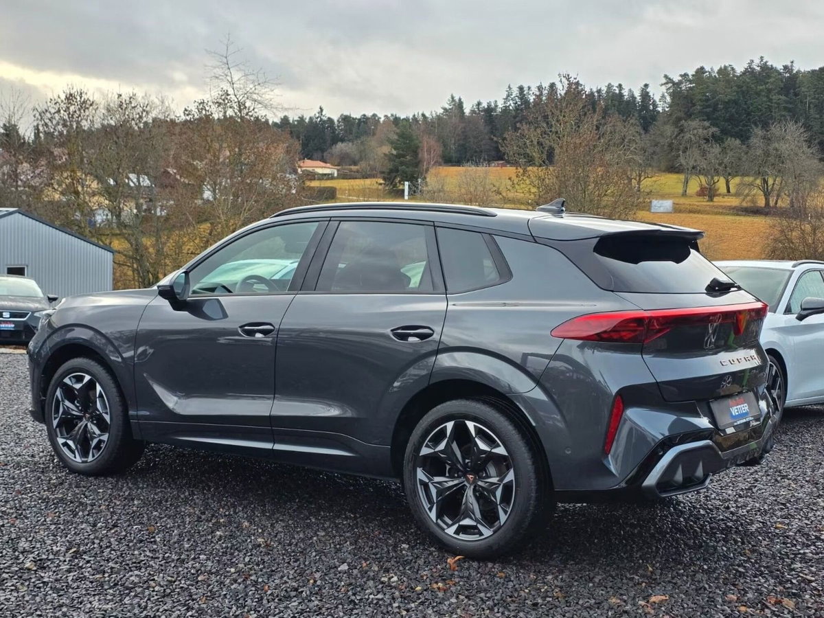 Cupra Terramar 1.5 hybrid 150cv dsg (5)