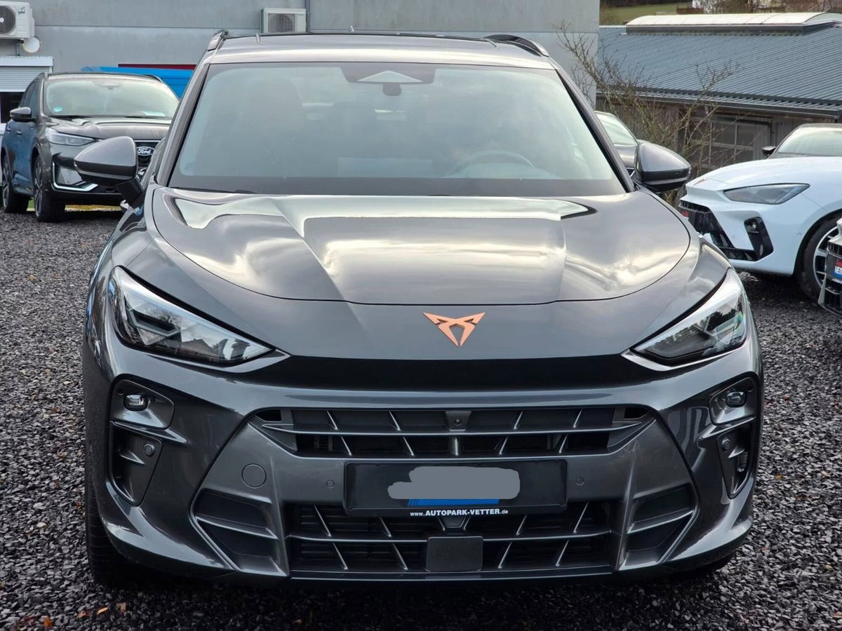 Cupra Terramar 1.5 hybrid 150cv dsg (6)