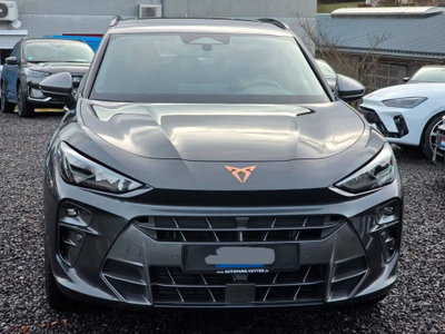 Cupra Terramar 1.5 hybrid 150cv dsg (6)