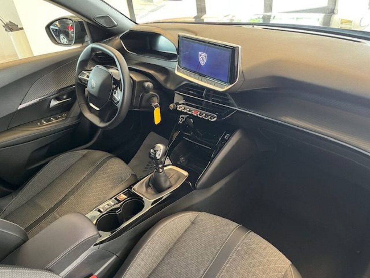 Peugeot 2008 PureTech 100 S&S Allure (13)