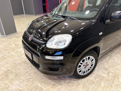 Fiat Panda 1.2 Easy (18)