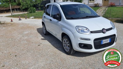 Fiat Panda 0.9 TwinAir Turbo S&S 4x4 Pop Van 2 posti (10)