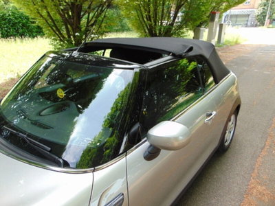 MINI Mini Cabrio 1.5 Cooper Essential Cabrio (18)