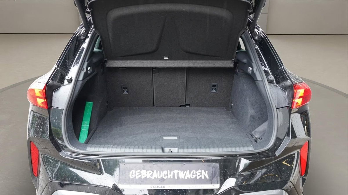 Cupra Terramar 2.0 tsi VZ 4drive 265cv dsg (12)