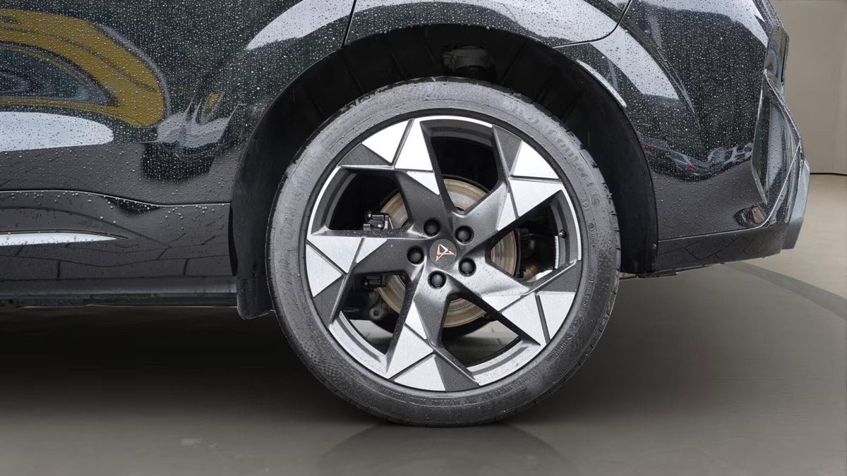 Cupra Terramar 2.0 tsi VZ 4drive 265cv dsg (6)