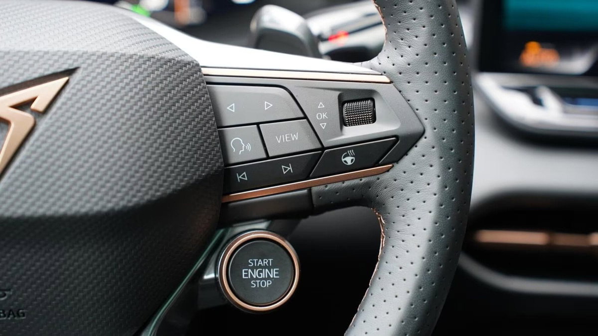 Cupra Terramar 2.0 tsi VZ 4drive 265cv dsg (9)