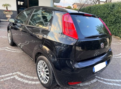 Fiat Punto 1.2 8V 5 porte Street (3)