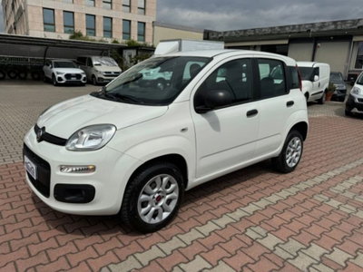 Fiat Panda 0.9 TwinAir Turbo Natural Power Easy usata
