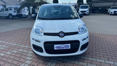 Fiat Pandina 1.0 firefly hybrid Pop s&s 65cv (3)