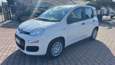 Fiat Pandina 1.0 firefly hybrid Pop s&s 65cv (4)