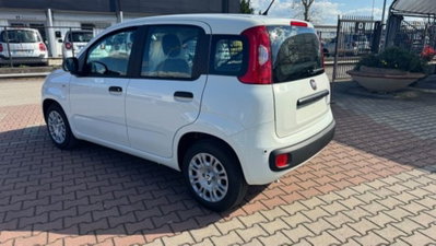 Fiat Pandina 1.0 firefly hybrid Pop s&s 65cv (5)