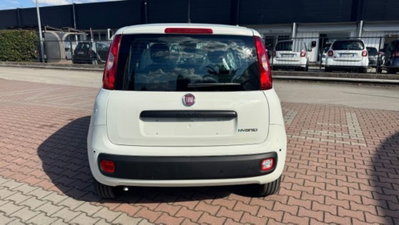 Fiat Pandina 1.0 firefly hybrid Pop s&s 65cv (6)