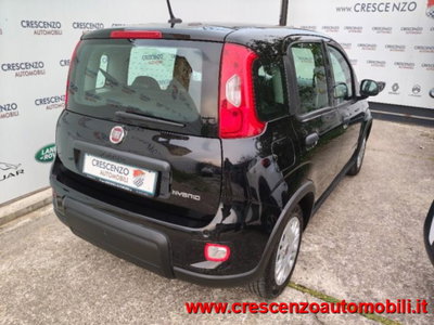 Fiat Panda 1.0 firefly hybrid s&s 70cv 5p.ti (10)