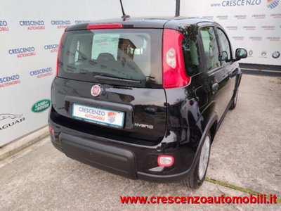 Fiat Panda 1.0 firefly hybrid s&s 70cv 5p.ti (11)