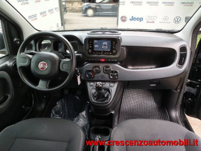 Fiat Panda 1.0 firefly hybrid s&s 70cv 5p.ti (12)