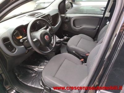 Fiat Panda 1.0 firefly hybrid s&s 70cv 5p.ti (14)