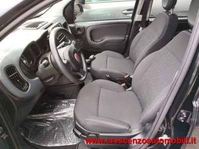 Fiat Panda 1.0 firefly hybrid s&s 70cv 5p.ti (15)