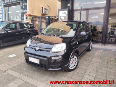 Fiat Panda 1.0 firefly hybrid s&s 70cv 5p.ti (2)