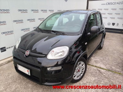 Fiat Panda 1.0 firefly hybrid s&s 70cv 5p.ti (3)