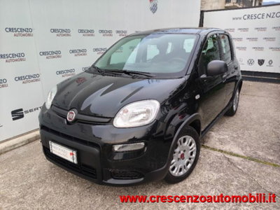 Fiat Panda 1.0 firefly hybrid s&s 70cv 5p.ti (4)