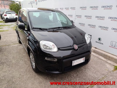 Fiat Panda 1.0 firefly hybrid s&s 70cv 5p.ti (6)