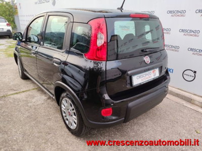 Fiat Panda 1.0 firefly hybrid s&s 70cv 5p.ti (7)