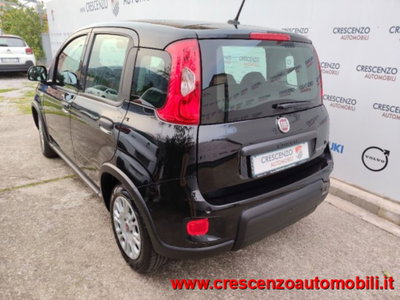 Fiat Panda 1.0 firefly hybrid s&s 70cv 5p.ti (8)