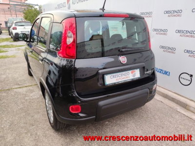 Fiat Panda 1.0 firefly hybrid s&s 70cv 5p.ti (9)